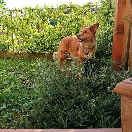 Appartamento La Tana Del Riccio