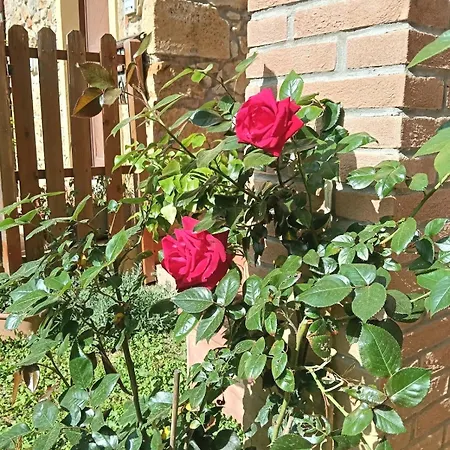La Tana Del Riccio *