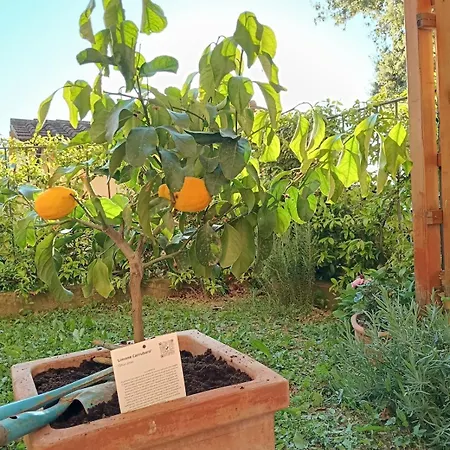 La Tana Del Riccio * Montescudaio